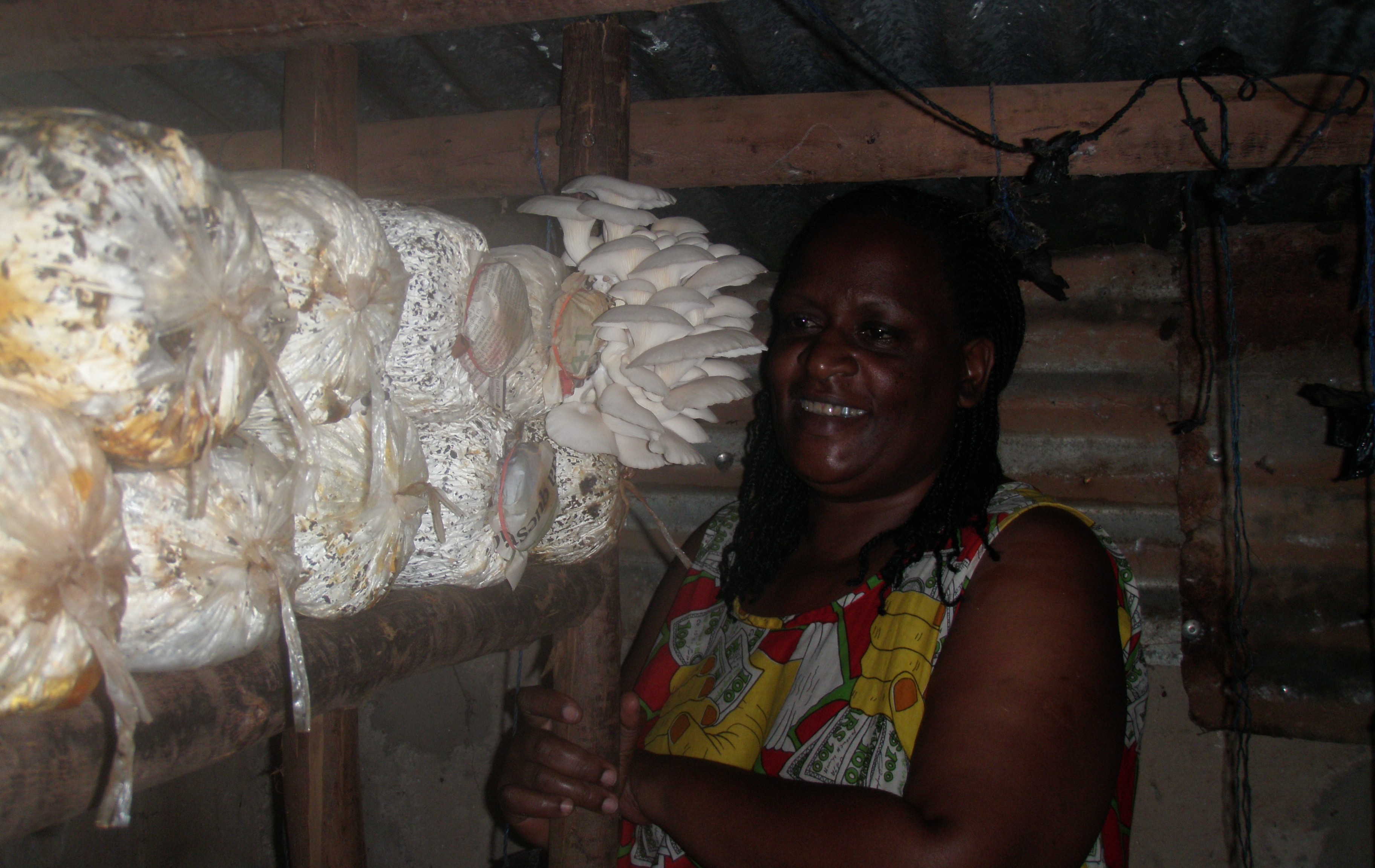 Our Mushroom Farm Impact Story in Uganda